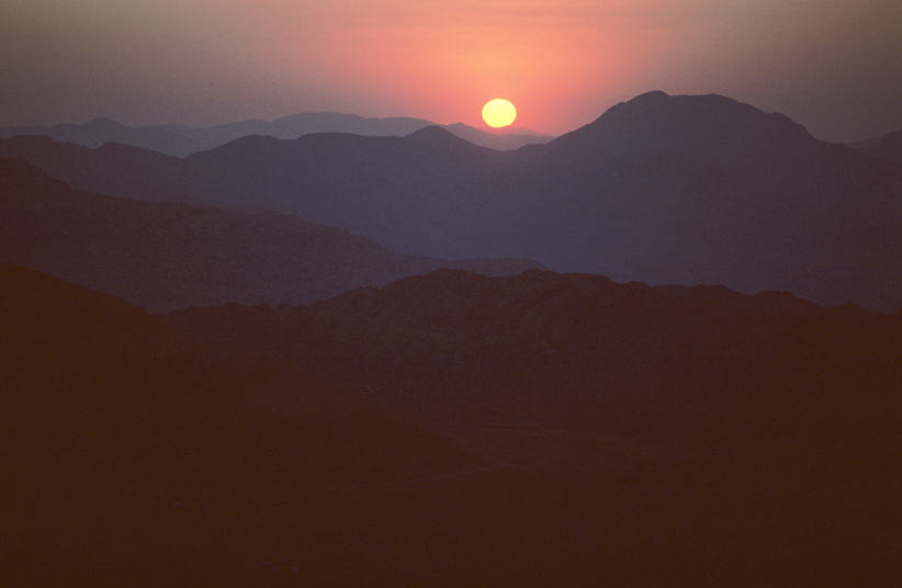 Das wilde Kurdistan