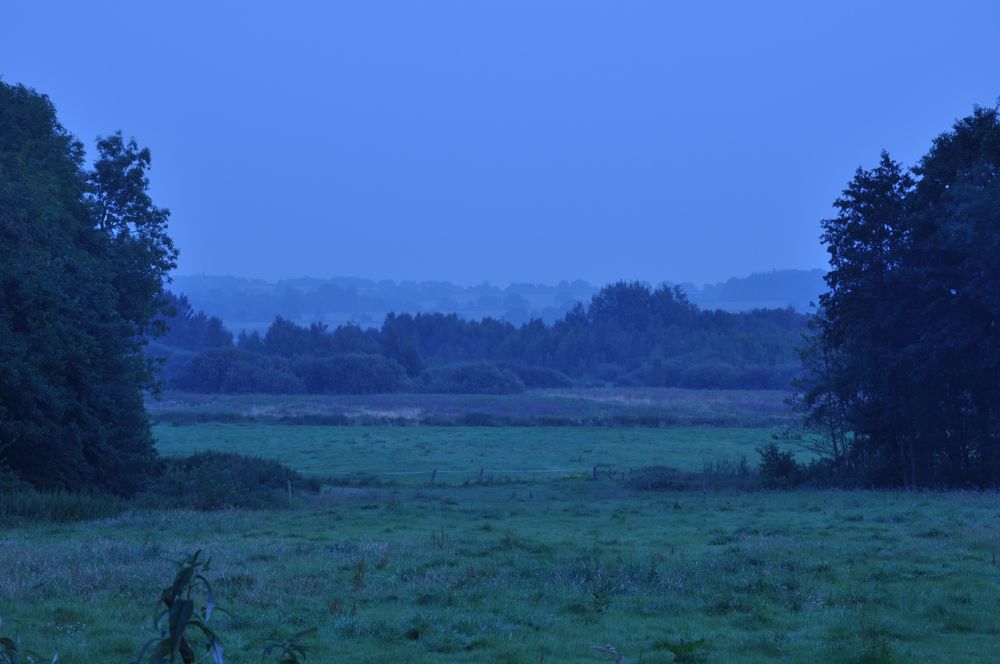 Das Wilde Moor bei Winnert in der Abenddämmerung