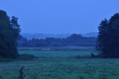 Das Wilde Moor bei Winnert in der Abenddämmerung