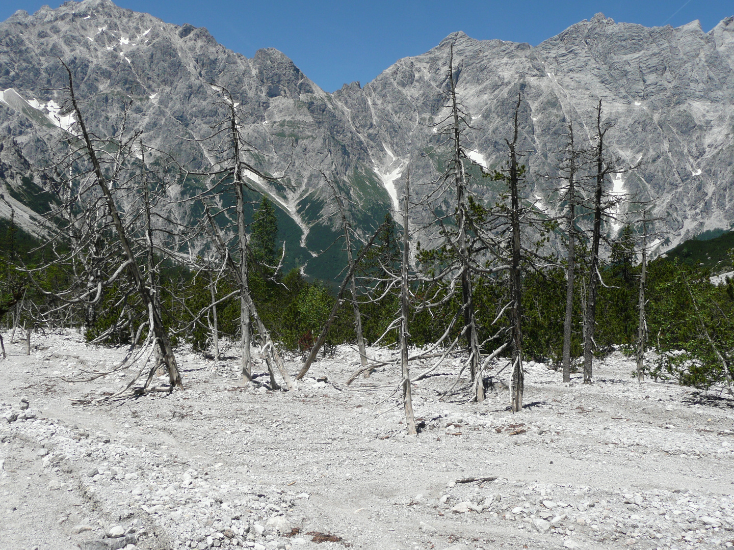 Das Wimbachtal