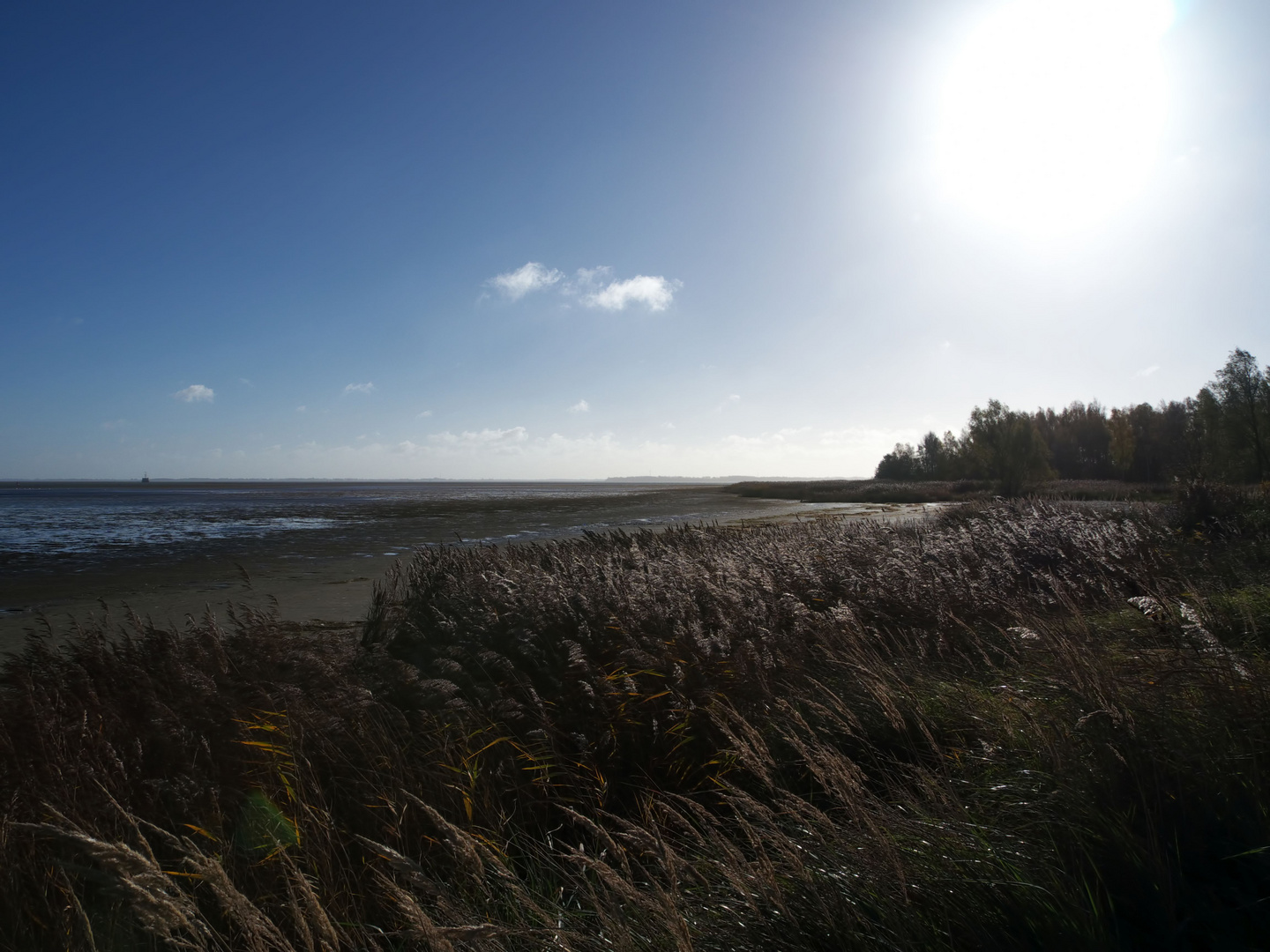 Das Windwatt – Besonderheit der Boddenlandschaft