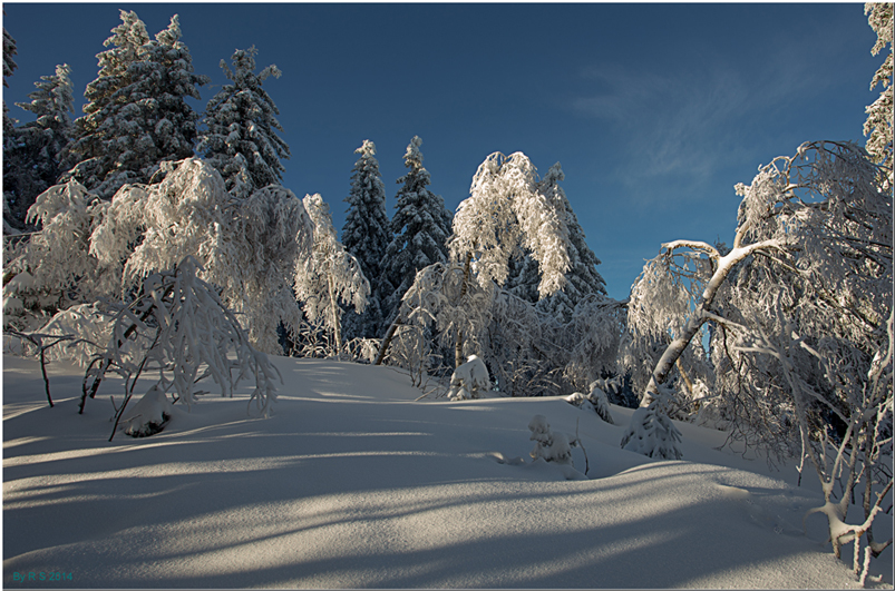 Das Wintermärchen...