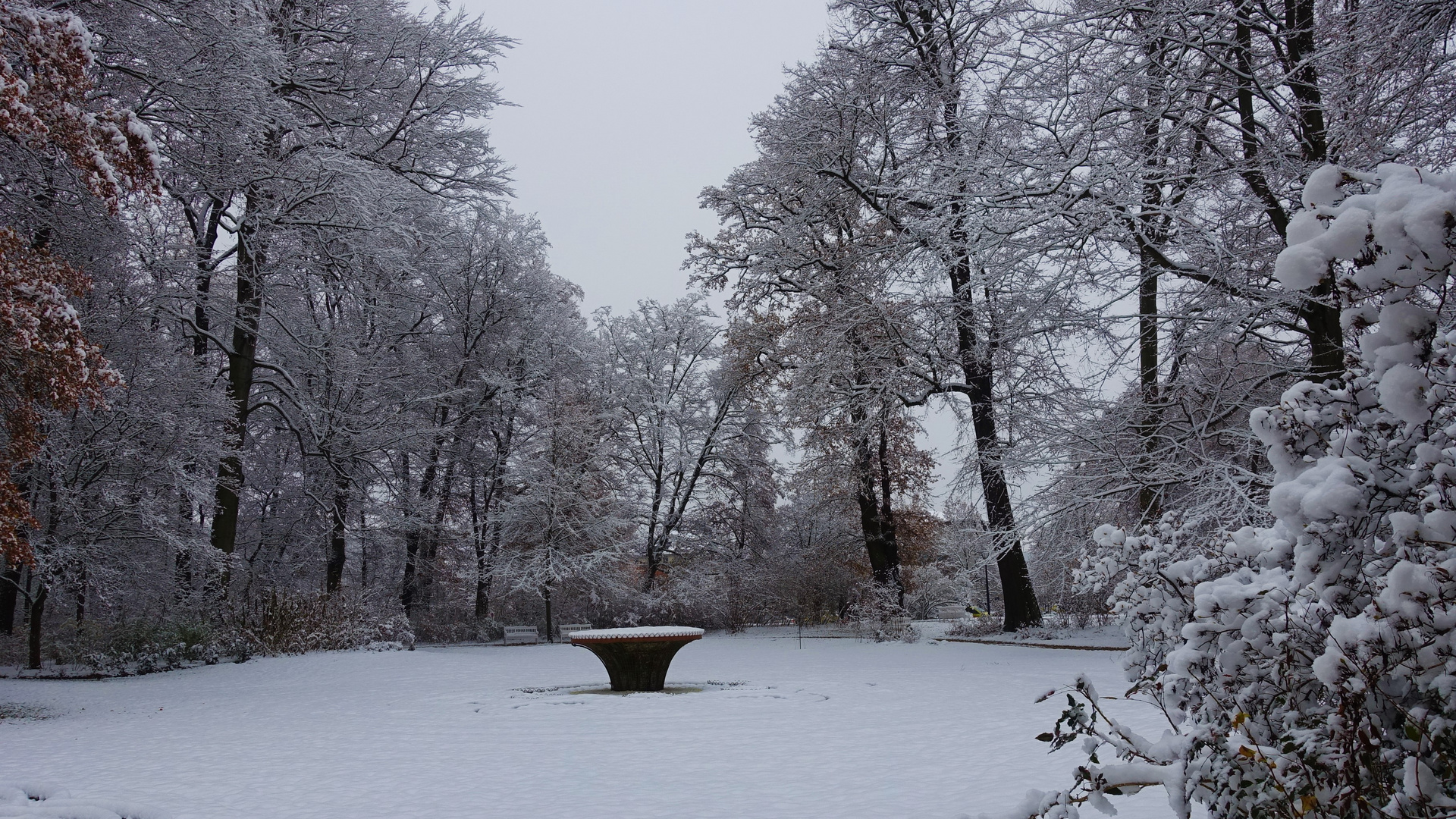 Das Wintermärchen geht weiter leider ohne Sonne