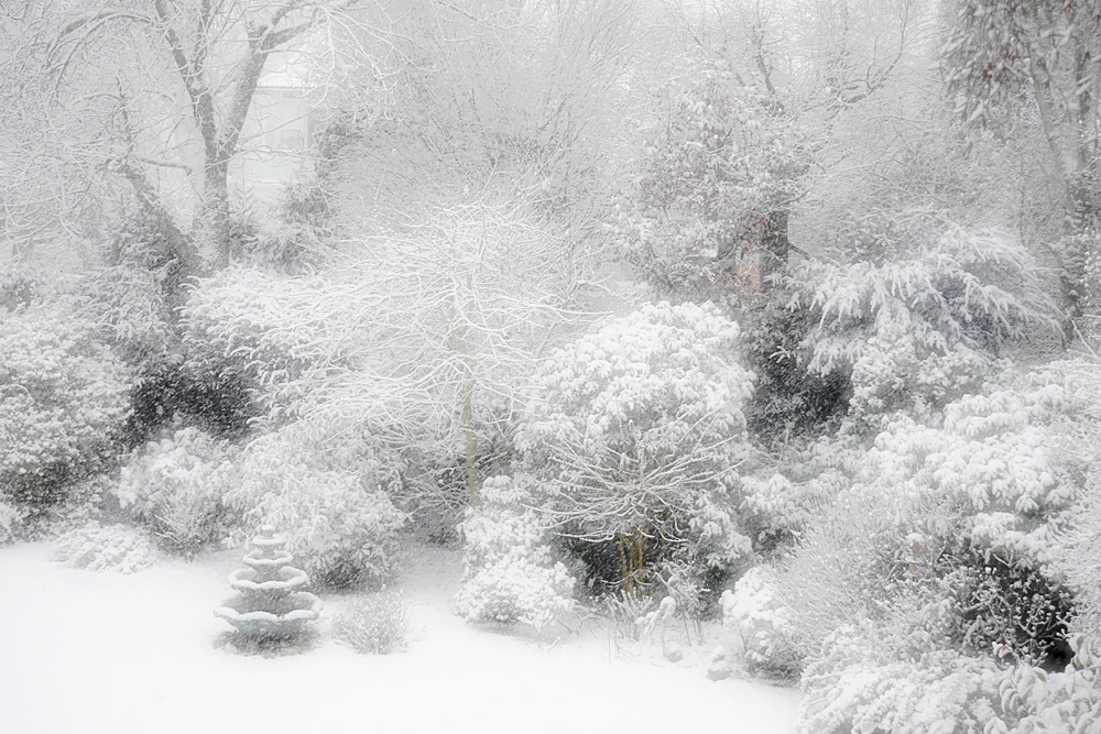 Das Wintermärchen vom Sonntag