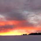 Das Winterwunderland am Brocken /Harz