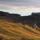 Das Winzerdorf Auggen in der Abendsonne