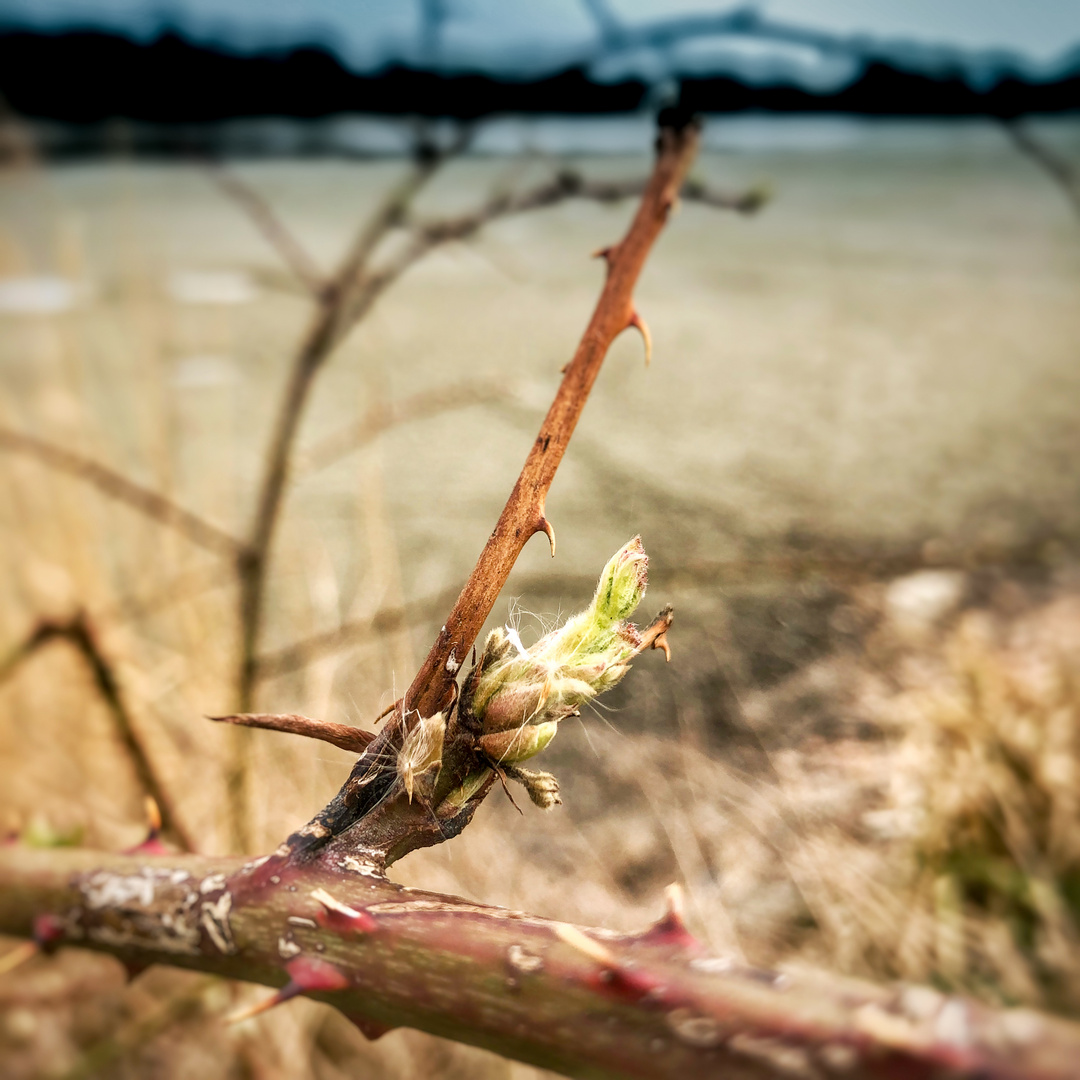 Das wird ein harter Frühling für alle......