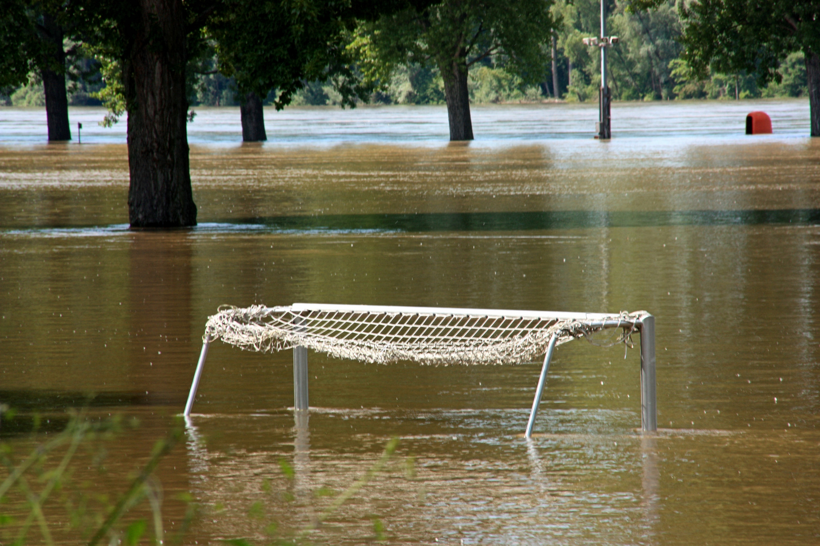 Das wird heut wohl nichts mit Sonnenbaden auf der Wiese.