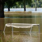 Das wird heut wohl nichts mit Sonnenbaden auf der Wiese.