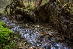 Das Wirken des Wassers und des Windes