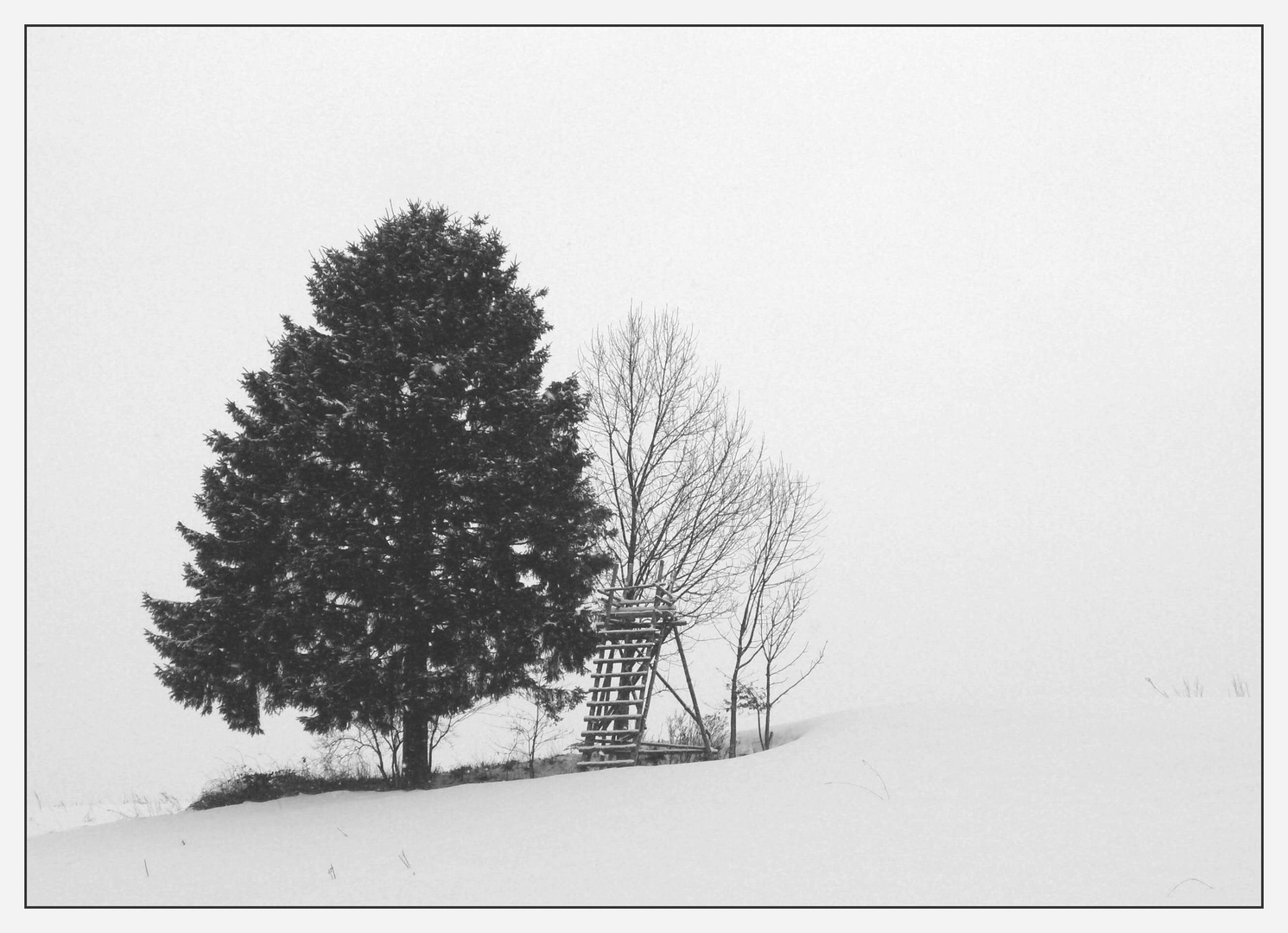 Das wirklich allerletzte Winterbild