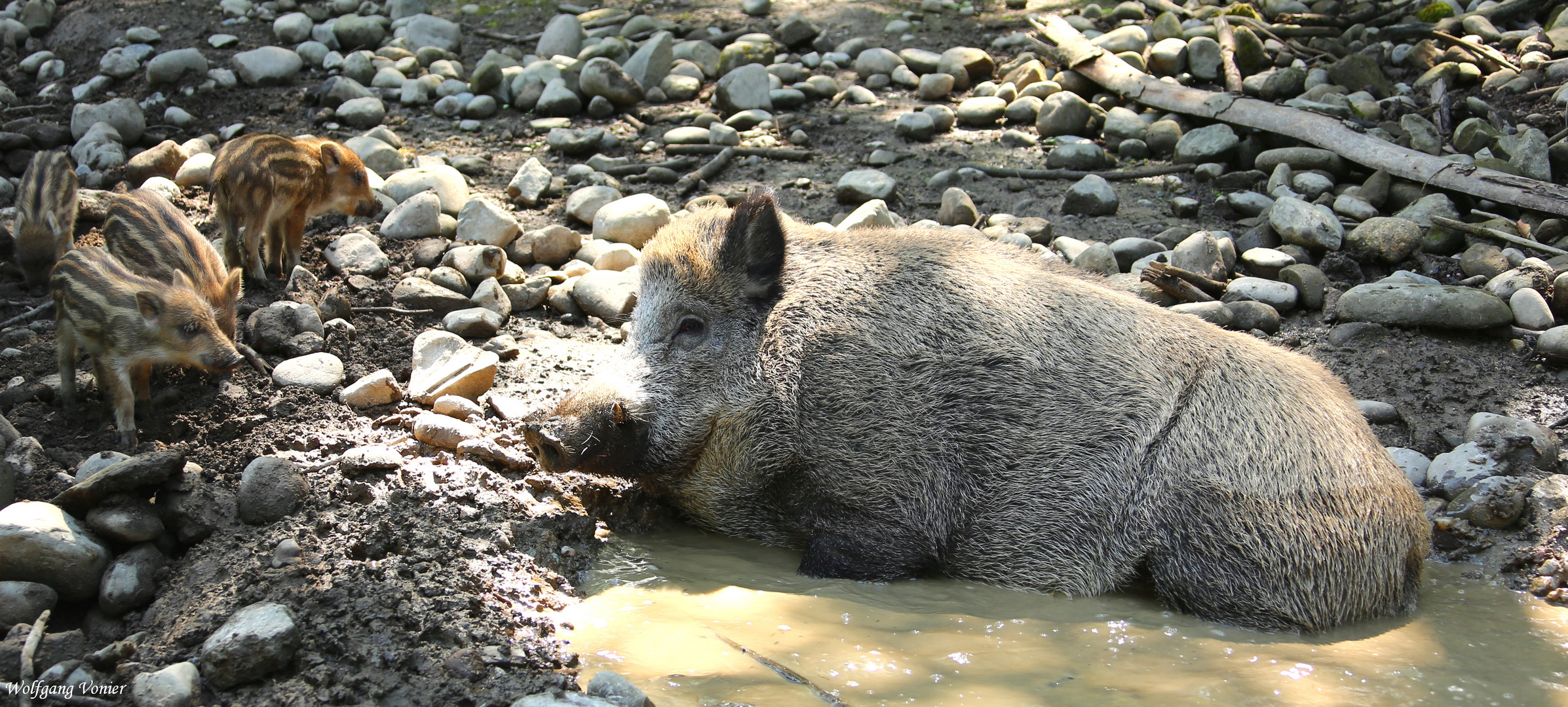 Das Wochenend-Natur-Bad