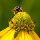 Das Wochenende ist in Sicht