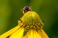 Das Wochenende ist in Sicht