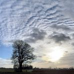 Das Wölkchen-Panorama 