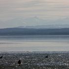 Das wohl letzte Panorama diesen Winters