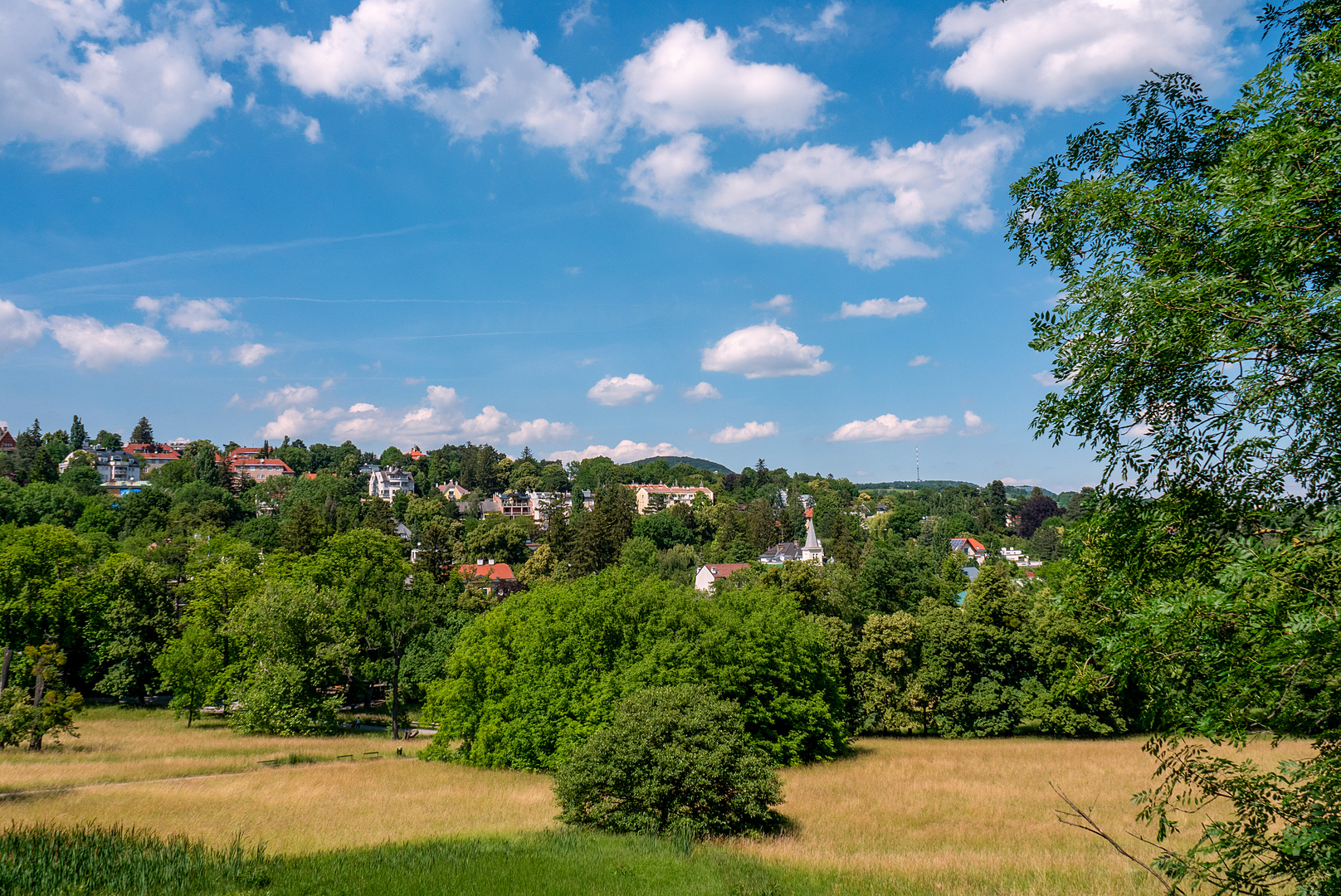 das wohnen am park...