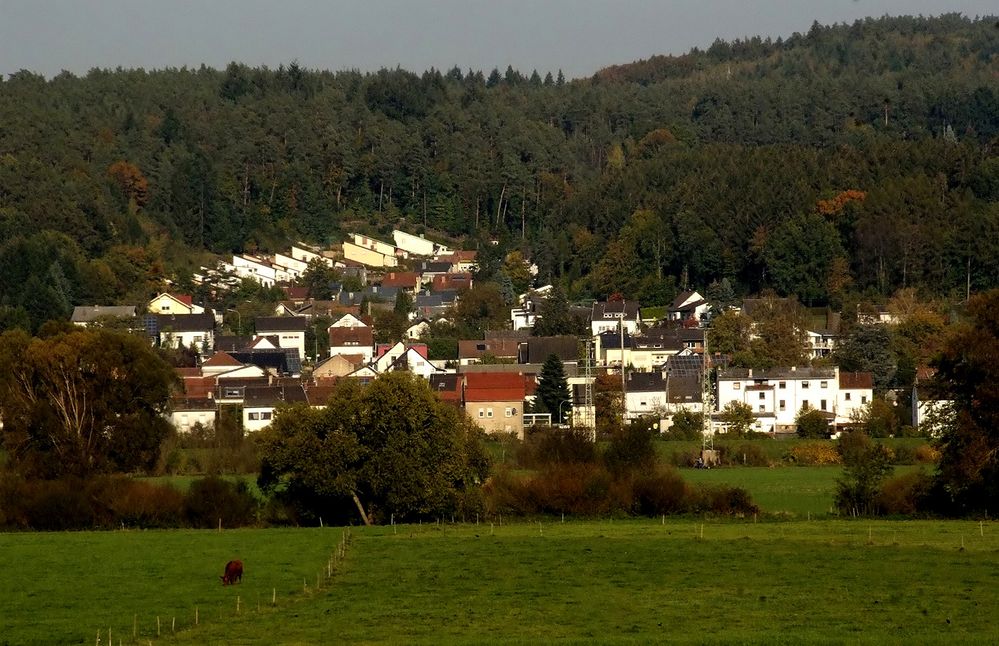 Das Wohnen im Grünen ...