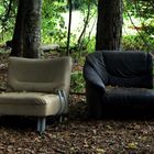 Das Wohnzimmer im Wald