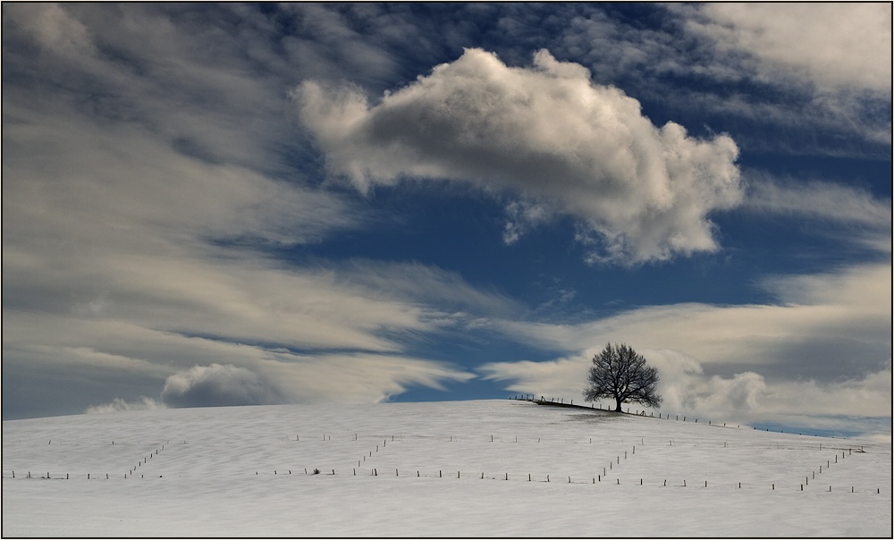 Das Wolkenspiel...