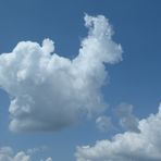 Das Wolkentier....
