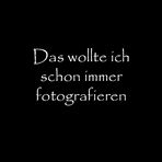 das wollte ich schon immer fotografieren