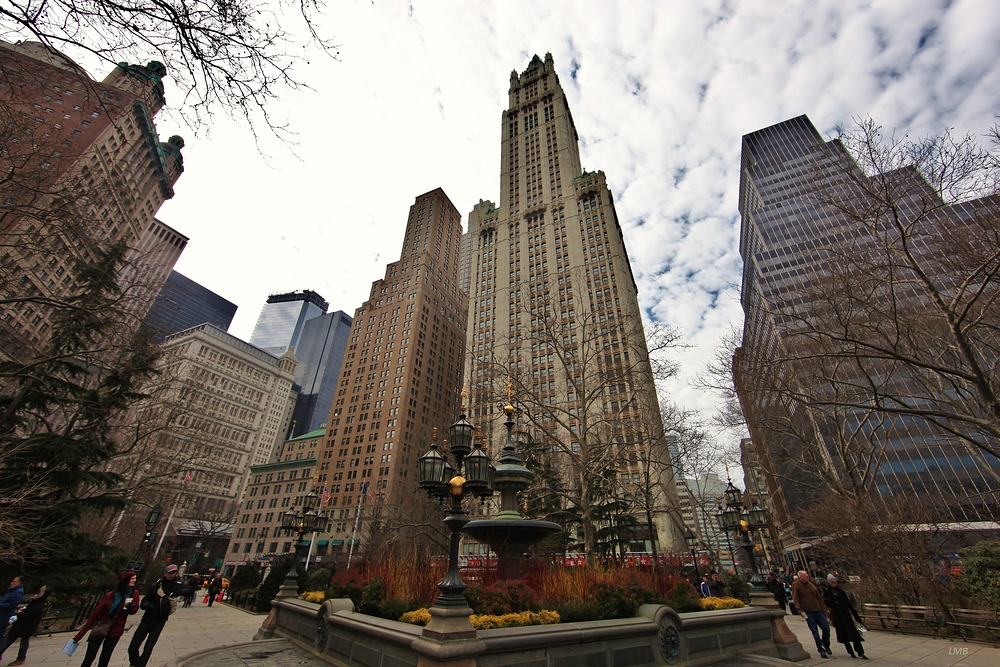 Das Woolworth Building