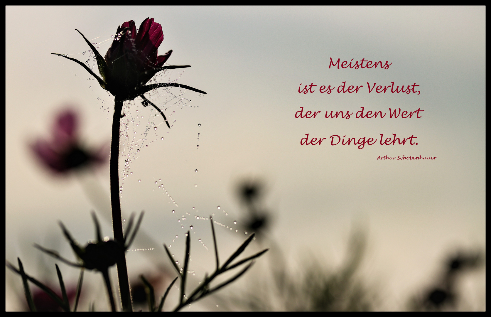                     -Das "Wort" zum Sonntag-