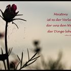                     -Das "Wort" zum Sonntag-