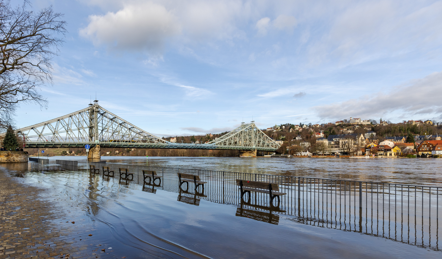 Das Wunder am Blauen Wunder in Dresden Foto & Bild motive, reportage