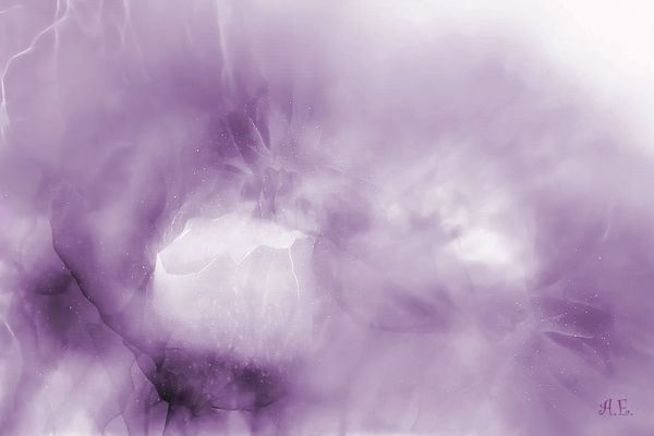 Das Wunder des Lebens