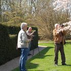 Das Wunder vom Britzer Garten