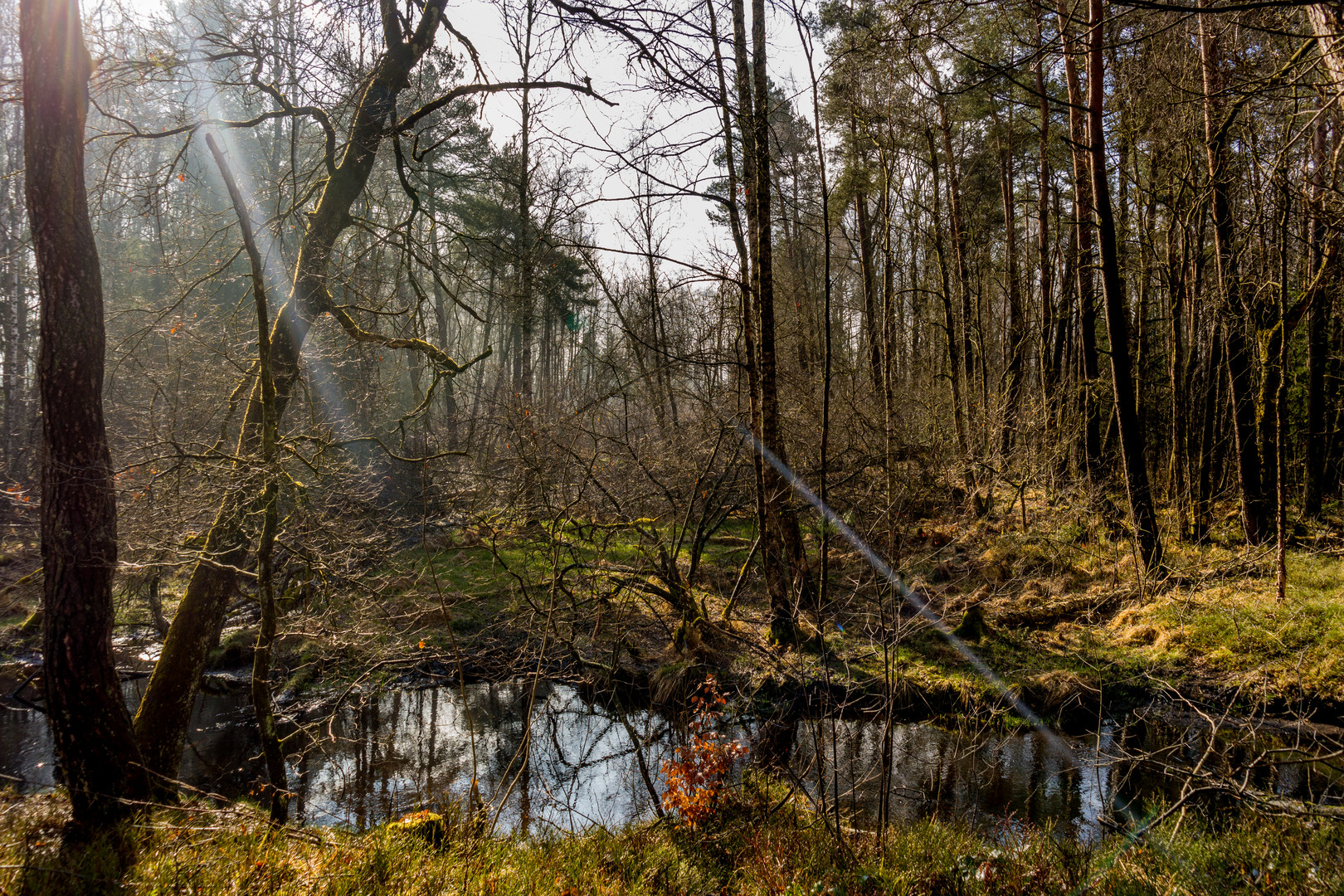 Das Wurzacher Ried