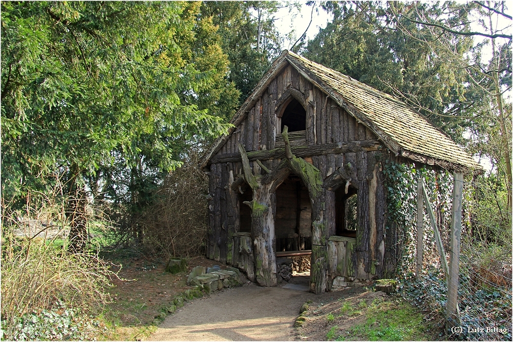 Das Wurzelhaus im Wörlitzer Park