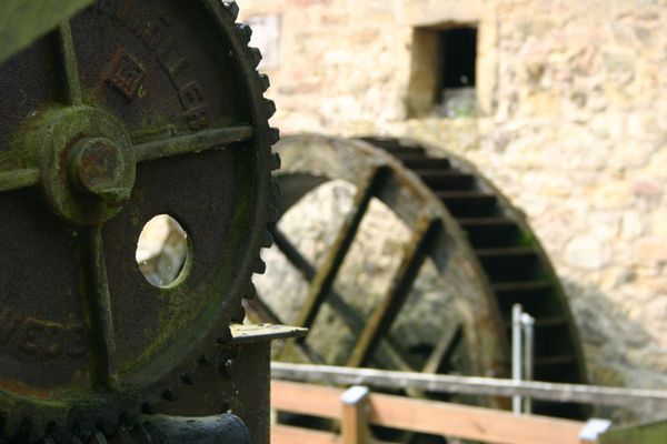 Das Zahnrad