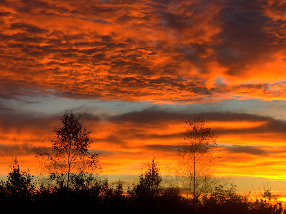 ...das Zeichen am Himmel: Angst - (Edvard Munchs Himmel...)