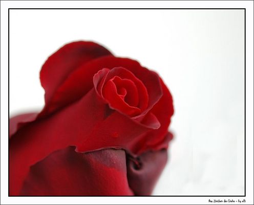 das zeichen der Liebe....