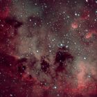 Das Zentrum des Tadpoles-Nebels (IC 410) im Sternbild Auriga