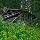 Das zerfallene Blockhaus.