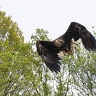 Das Ziel genau im Blick