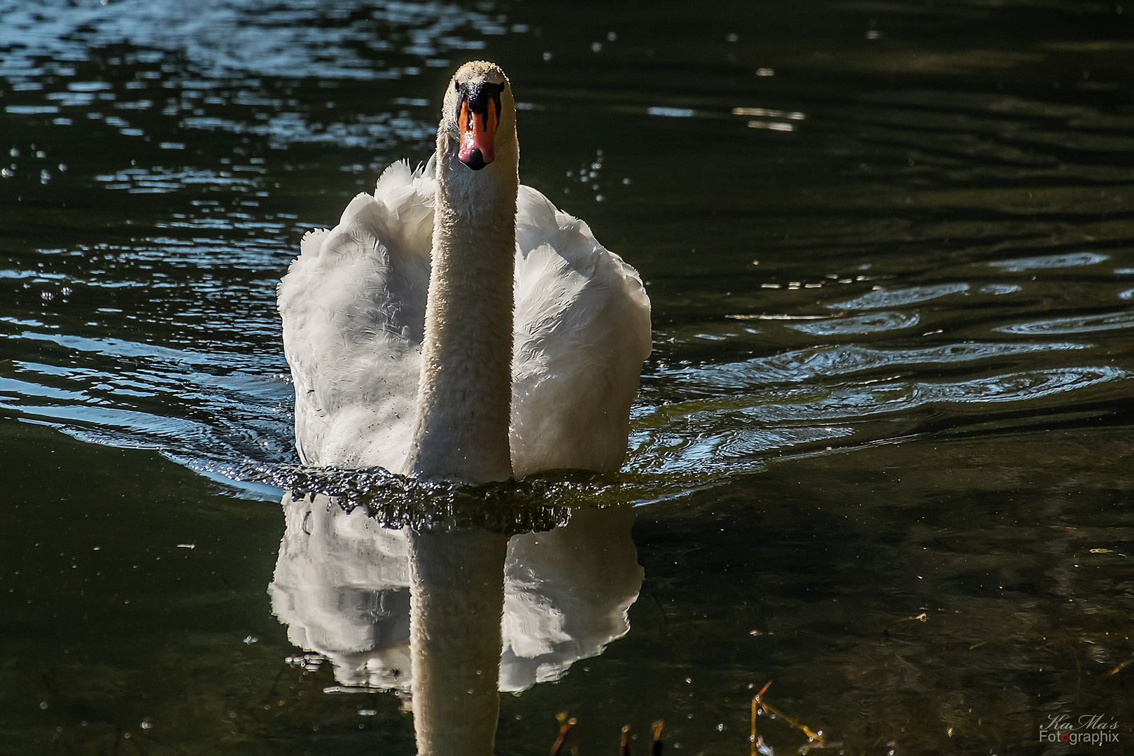 Das Ziel im Blick