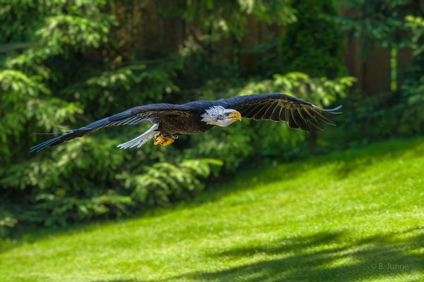 Das Ziel im Blick ...