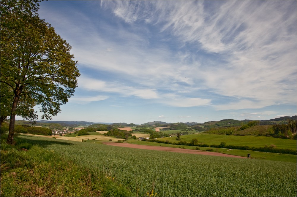 Das Ziel ist schon in Sicht ...