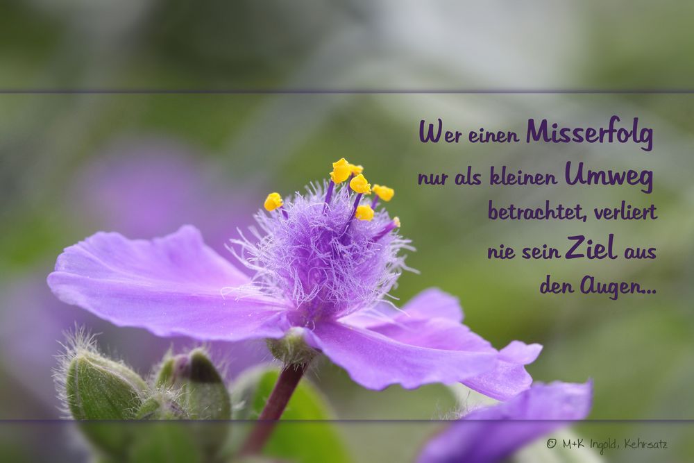 Das Ziel nicht aus den Augen verlieren... Foto & Bild redensarten in