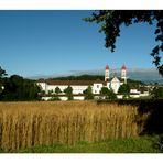 Das Zisterzienserkloster St. Urban, umgeben von der Natur und Landwirtschaft.