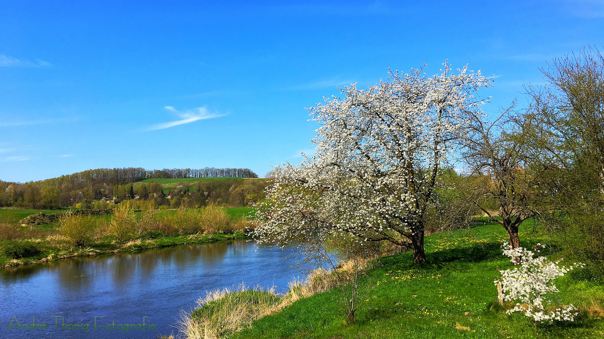 Das Zschopautal bei Limmritz (Sachsen)