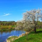 Das Zschopautal bei Limmritz (Sachsen)