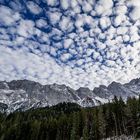 Das Zugspitzmassiv zwischen Wald und Wolken 