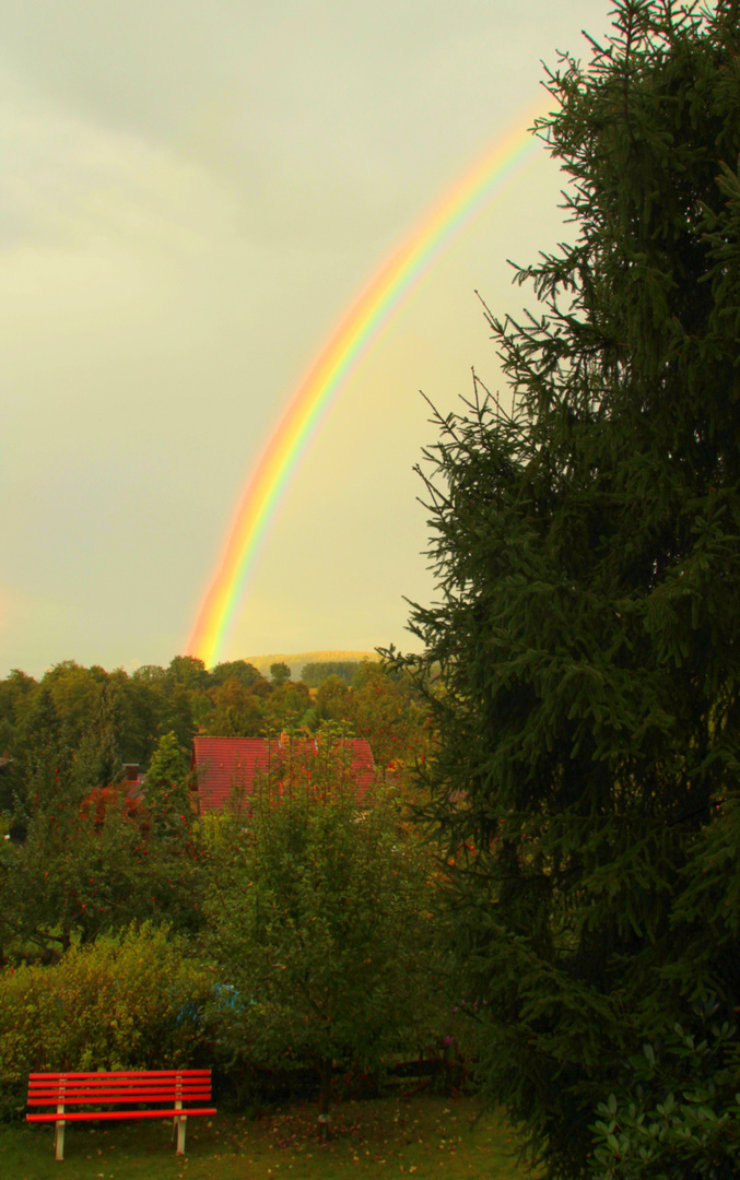 Das zweimillionste Regenbogenfoto