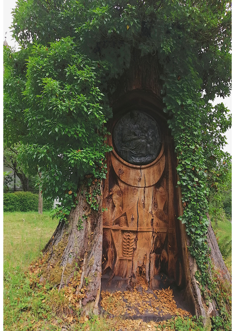 Das zweite Leben eines Baumstamms